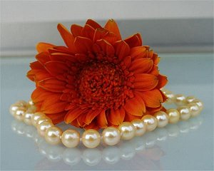 golden akoya pearls