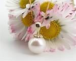 Jewellery Pendant<br>Pearl Size<br>8.0 - 9.0 mm