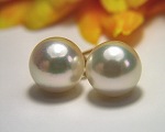 Pearl Earrings<br>South Sea Fire<br>8.0 - 8.5 mm