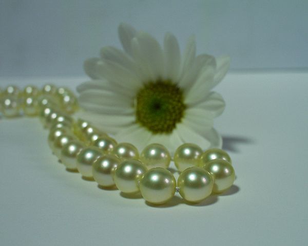 Wedding Jewelry at SelecTraders
