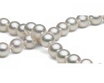 White<br>Pearl Necklace<br>7.5 - 8.0 mm