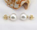 South Sea<br>Pearl Earstuds<br>10.0 - 11.0 mm